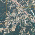 Lexington, TN (2010, 24000-Scale) Preview 3