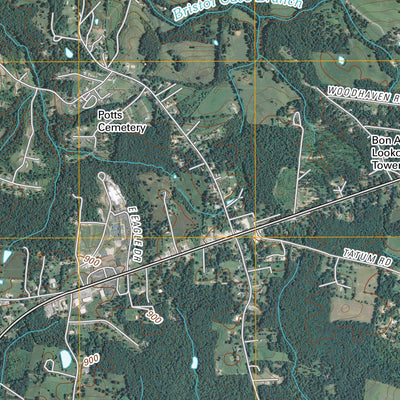 Lyles, TN (2010, 24000-Scale) Preview 2