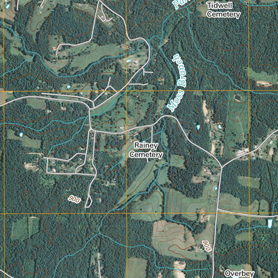 Lyles, TN (2010, 24000-Scale) Preview 3