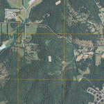 Lynchburg West, TN (2010, 24000-Scale) Preview 3