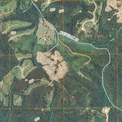 Mckinnon, TN (2010, 24000-Scale) Preview 3