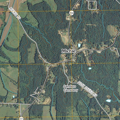 Michie, TN (2010, 24000-Scale) Preview 2