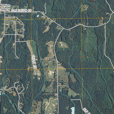 Milledgeville, TN (2010, 24000-Scale) Preview 3