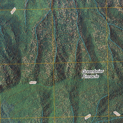 Mount Guyot, TN-NC (2010, 24000-Scale) Preview 3