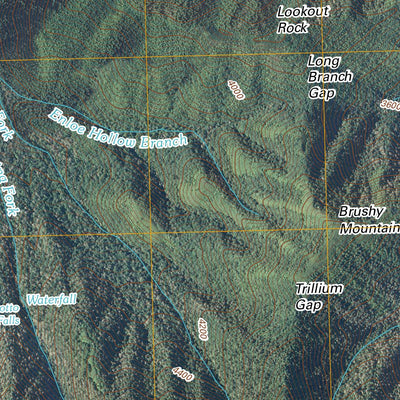 Mount Le Conte, TN-NC (2010, 24000-Scale) Preview 2