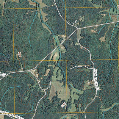 Mount Peter, TN (2010, 24000-Scale) Preview 3
