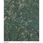 Palmer, TN (2010, 24000-Scale) Preview 1
