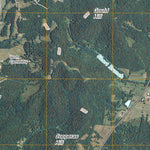 Petersburg, TN (2010, 24000-Scale) Preview 3