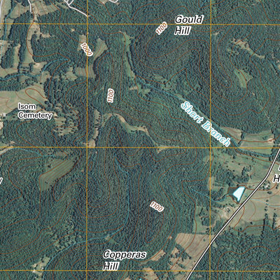 Petersburg, TN (2010, 24000-Scale) Preview 3