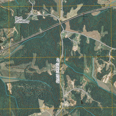 Scotts Hill, TN (2010, 24000-Scale) Preview 3