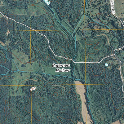 Stantonville, TN (2010, 24000-Scale) Preview 3