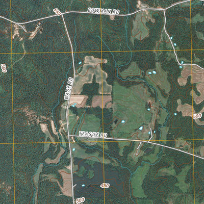 Teague, TN (2010, 24000-Scale) Preview 2