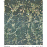 Tennessee City, TN (2010, 24000-Scale) Preview 1