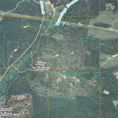Tennessee City, TN (2010, 24000-Scale) Preview 2