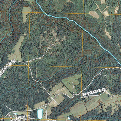 Twin Bridges, TN (2010, 24000-Scale) Preview 2