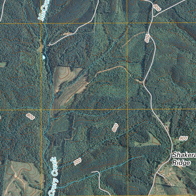 Westpoint, TN (2010, 24000-Scale) Preview 2