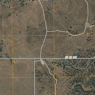 Adams NW, TX (2010, 24000-Scale) Preview 2