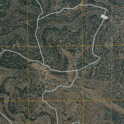 Adams SE, TX (2010, 24000-Scale) Preview 2