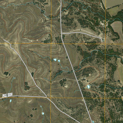 Adamsville, TX (2010, 24000-Scale) Preview 2