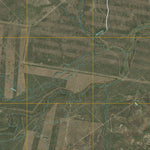 Alamito Creek NE, TX (2010, 24000-Scale) Preview 2