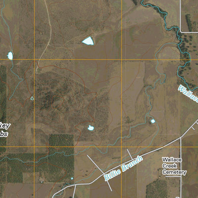 Algerita, TX (2010, 24000-Scale) Preview 2