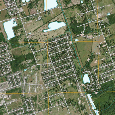 Algoa, TX (2010, 24000-Scale) Preview 3