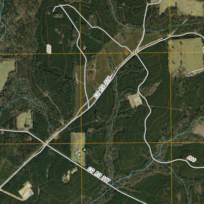 Beech Grove, TX (2010, 24000-Scale) Preview 2