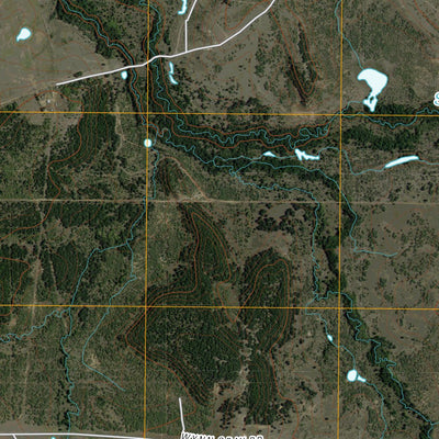 Bellevue, TX (2010, 24000-Scale) Preview 3