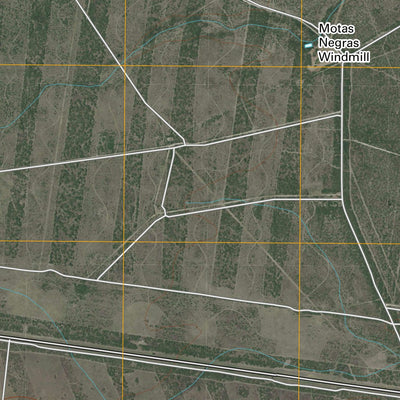 Ben Bolt SE, TX (2010, 24000-Scale) Preview 2