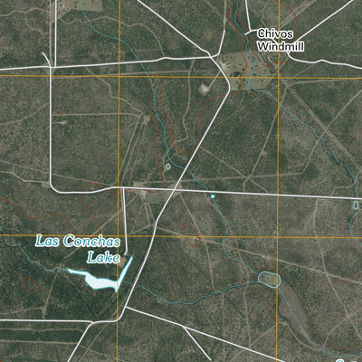 Ben Bolt SE, TX (2010, 24000-Scale) Preview 3
