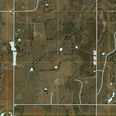 Bernie Lake, TX (2010, 24000-Scale) Preview 2