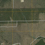 Bevil Oaks, TX (2010, 24000-Scale) Preview 2
