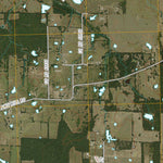 Blossom, TX (2010, 24000-Scale) Preview 2