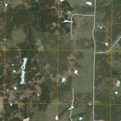 Bonita, TX (2010, 24000-Scale) Preview 3