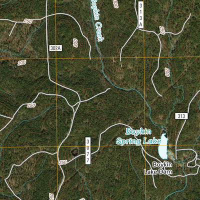 Boykin Spring, TX (2010, 24000-Scale) Preview 3