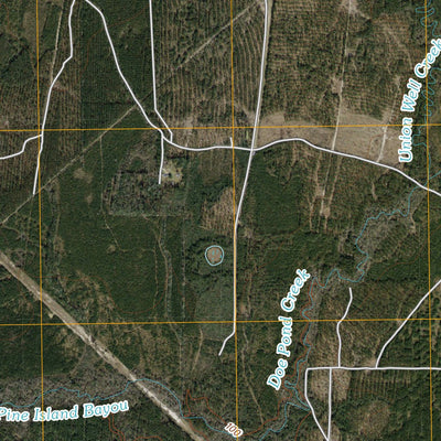 Bragg, TX (2010, 24000-Scale) Preview 3