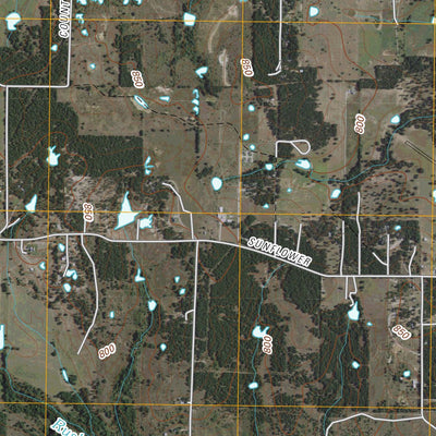 Bridgeport East, TX (2010, 24000-Scale) Preview 3