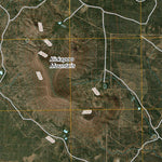 Bronte, TX (2010, 24000-Scale) Preview 3