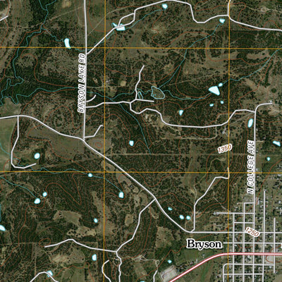 Bryson, TX (2010, 24000-Scale) Preview 3