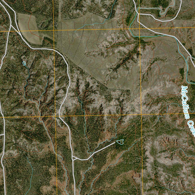 Buffalo Arroyo, TX (2010, 24000-Scale) Preview 2