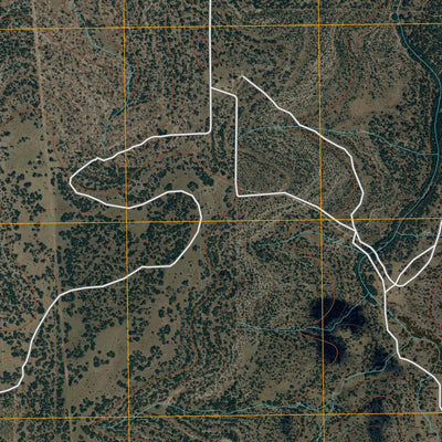 Buffalo Well NW, TX (2010, 24000-Scale) Preview 2