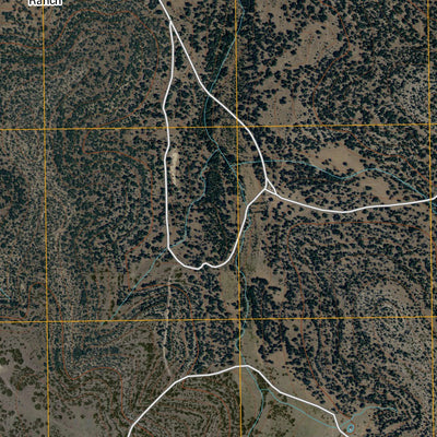 Buffalo Well NW, TX (2010, 24000-Scale) Preview 3