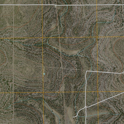 Buffalo Well SW, TX (2010, 24000-Scale) Preview 3