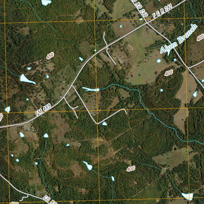Butler, TX (2010, 24000-Scale) Preview 3