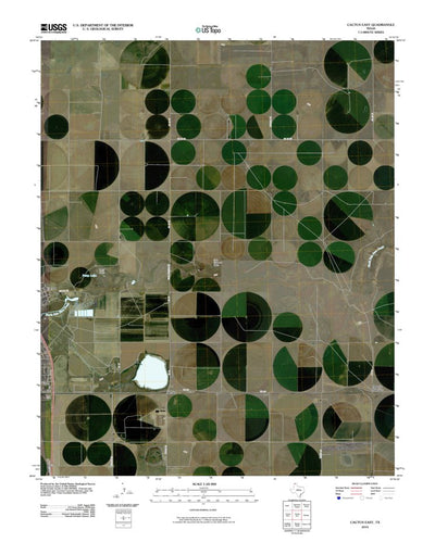 Cactus East, TX (2010, 24000-Scale) Preview 1