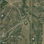 Calliham NW, TX (2010, 24000-Scale) Preview 3
