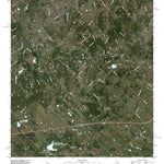 Carmine, TX (2010, 24000-Scale) Preview 1