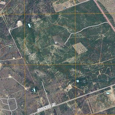 Carrizo Springs West, TX (2010, 24000-Scale) Preview 3