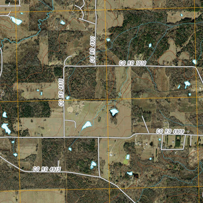 Carroll, TX (2010, 24000-Scale) Preview 2