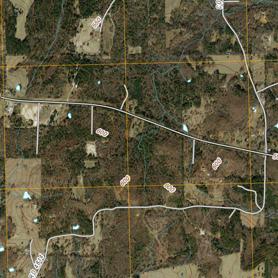 Carroll, TX (2010, 24000-Scale) Preview 3